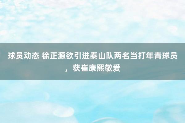 球员动态 徐正源欲引进泰山队两名当打年青球员，获崔康熙敬爱