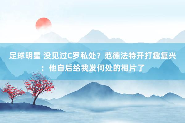 足球明星 没见过C罗私处？范德法特开打趣复兴：他自后给我发何处的相片了